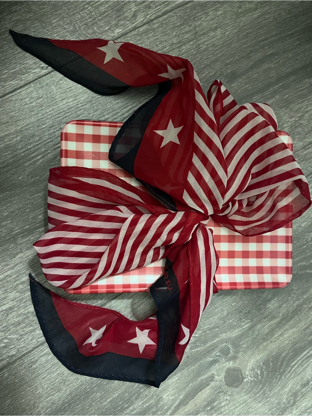 Hearth & Hand Red, White, and Navy Striped & Star Scarf
